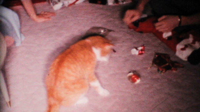Cat Plays With Christmas Ornament-1967 Vintage 8mm film