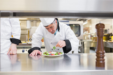 Chef garnishing his salad