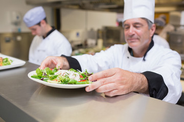 Chef inspecting salad plate