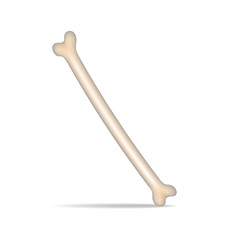 Bone on white background