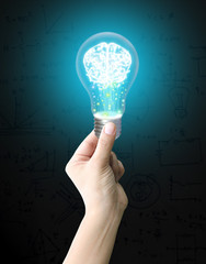 Hand holding lightbulb