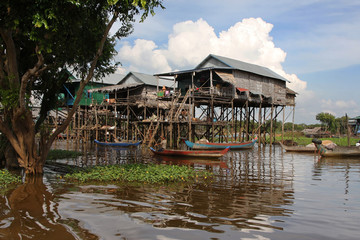 Fototapeta premium Maisons sur pilotis dans la mangrove