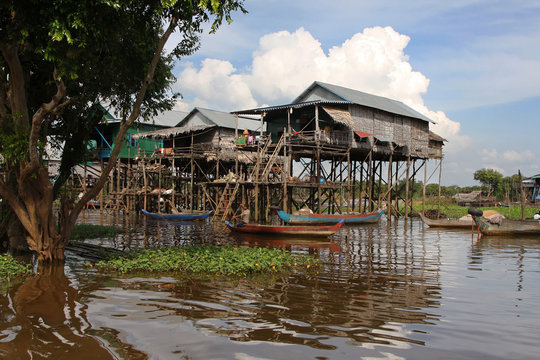 Maisons sur pilotis dans la mangrove