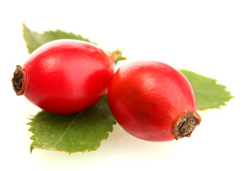ripe hip roses on green leaves, isolated on white