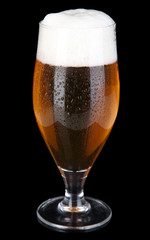 Glass of beer isolated on black