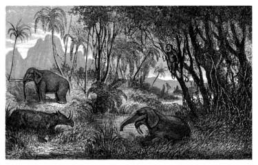 Prehistoric Mammals (Miocene)