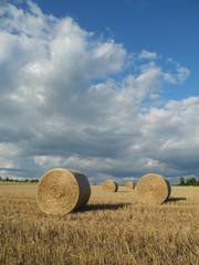 Rundballen auf einem Getreidefeld