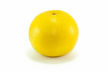 Pompelmo in Primo Piano