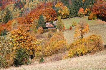 Cottage in autumn