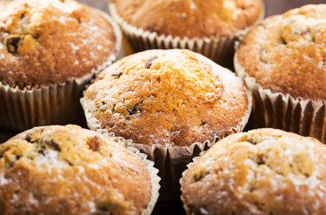 muffins