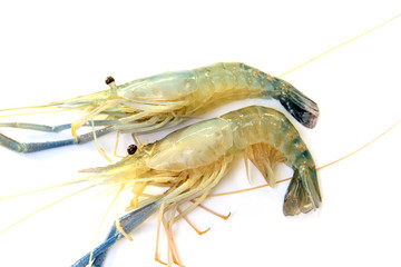 Raw shrimp