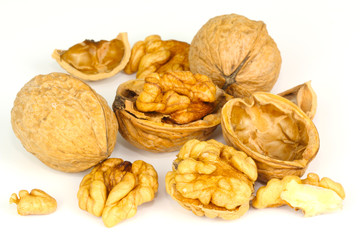 Walnüsse (Juglans) Baumnüsse Walnussgewächse