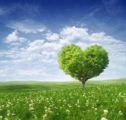 Plakat Drzewo w kształcie serca, tło Walentynki,
