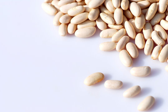 ALUBIAS BLANCAS SOBRE FONDO BLANCO