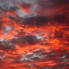 Fototapeta premium Ciel flamboyant