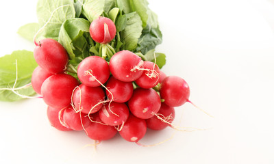 Quelques radis rouge