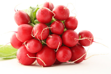 Gros plan sur les radis