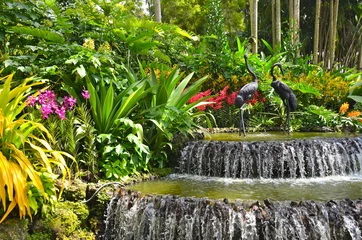 Selbstklebende Fototapeten Botanischer Garten von Singapur © lucazzitto