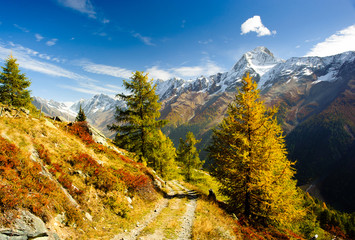 Bietschorn mountain peak in autumn with hiking trail - obrazy, fototapety, plakaty