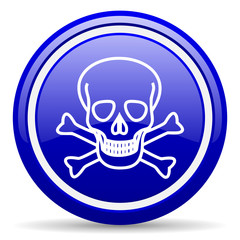 skull blue glossy icon on white background