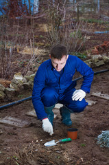 Young man planting garlic