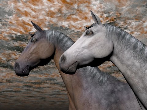 Portrait of two horses - 3D render