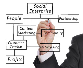 The Social Enterprise