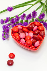 Heart valentine's day