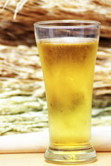 draf beer