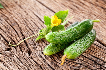 Cucumbers with leaves