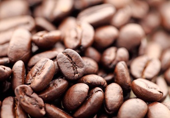 Coffee beans closeup