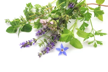 Photo sur Plexiglas Aromatique Aromatic fresh herbs