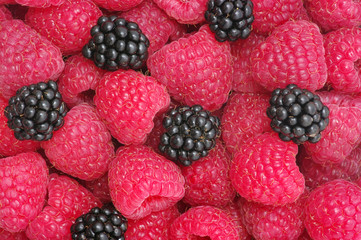 raspberry background