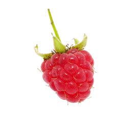Raspberry