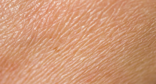 Human skin
