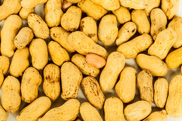 Obraz premium peanut