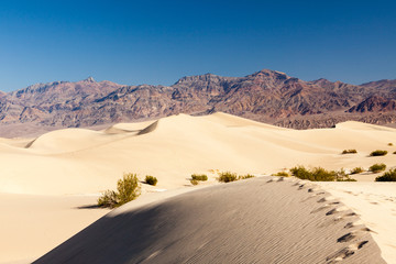 Mesquite Flat Sand Dunes