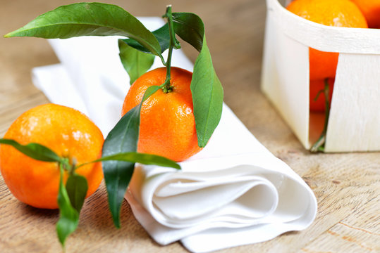 Set of satsuma on wooden table with napkin