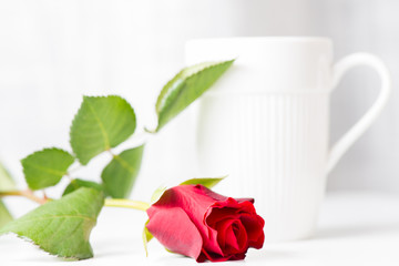 Cup of coffee and red rose