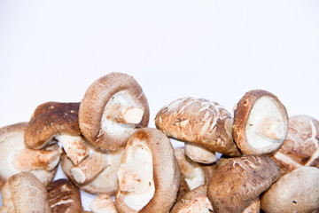 fresh mushroom champignon isolated on white background