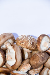 fresh mushroom champignon isolated on white background