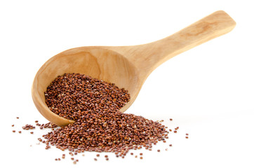 Rote Quinoa