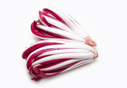 Radicchio tardivo trevigiano