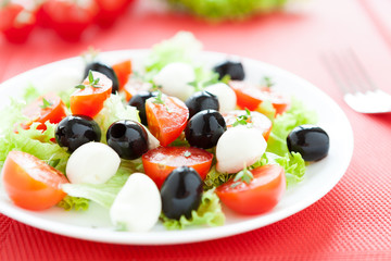 delicious salad with mozzarella and tomatoes
