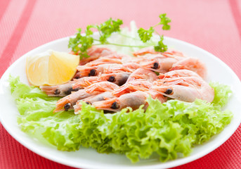 Boiled shrimp on a white plate