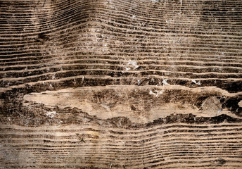 Old wooden background