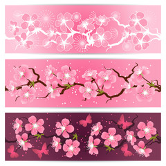 Cherry blossom flowers banner set.