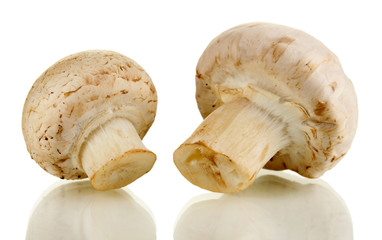 Fresh mushrooms isolated on white