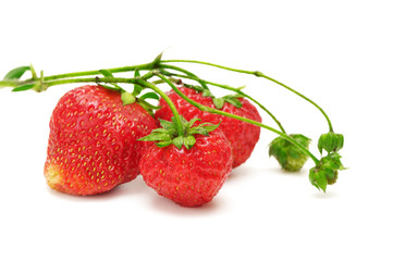 strawberry isolated on white background