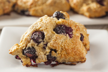 Fresh Homemade Blueberry Breakfast Scones